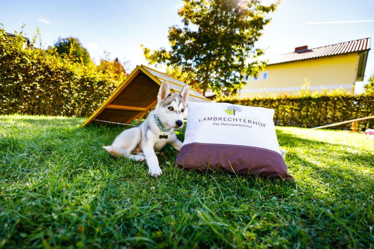 Lambrechterhof - Das Naturparkhotel Sankt Lambrecht Ngoại thất bức ảnh
